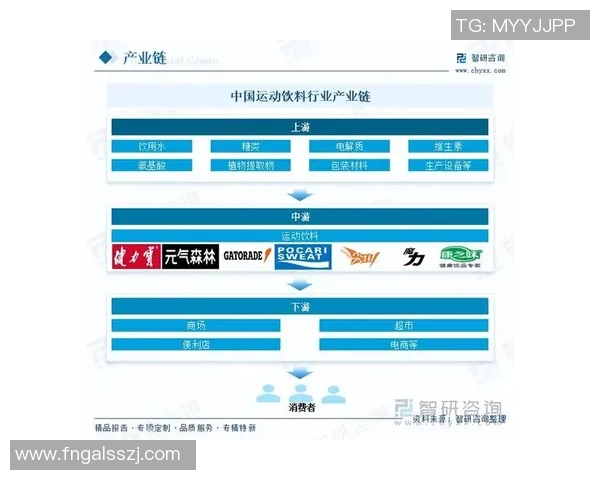 探索体育产品品牌的创新之路与市场趋势分析